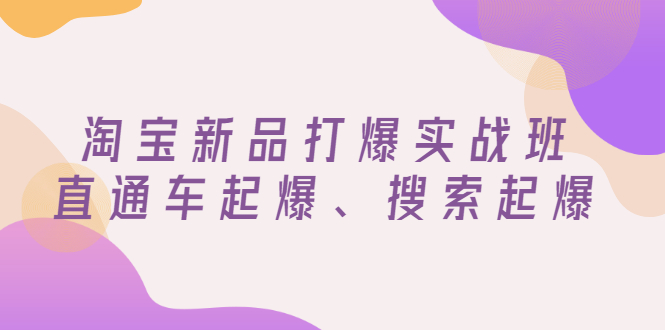 【副业项目3372期】淘宝新品打爆实战班（淘宝店铺如何增加流量和访客）-元满创业网