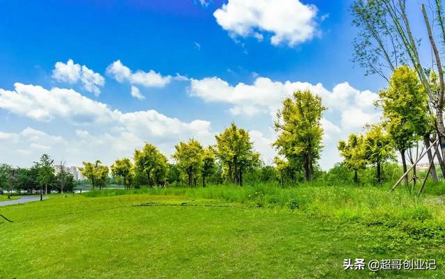 自媒体公司老板分享做自媒体的秘籍（做自媒体怎么月收入过万）-元满创业网