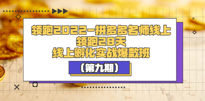 【副业项目3821期】拼多多名师线上领跑28天，拼多多线上孵化实操爆款班（第九期）-元满创业网