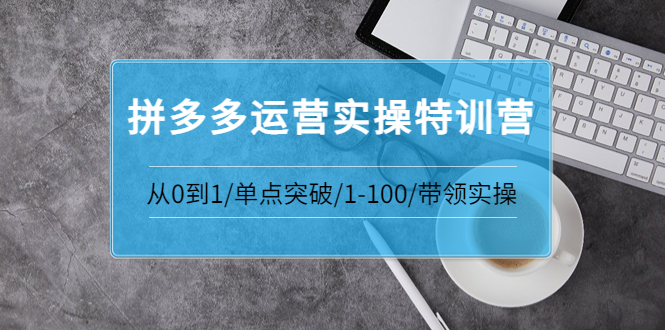 【副业项目3863期】拼多多运营实操特训营：拼多多直通车进阶优化技巧，拼多多如何操作利润最大化-元满创业网