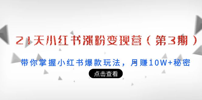 【副业项目4158期】21天小红书涨粉变现营（第3期）：带你掌握小红书爆款玩法，月赚10W+秘密-元满创业网