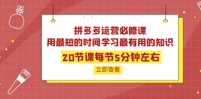 【副业项目4189期】拼多多运营必修课：20节课每节5分钟左右，用最短的时间学习最有用的知识-元满创业网