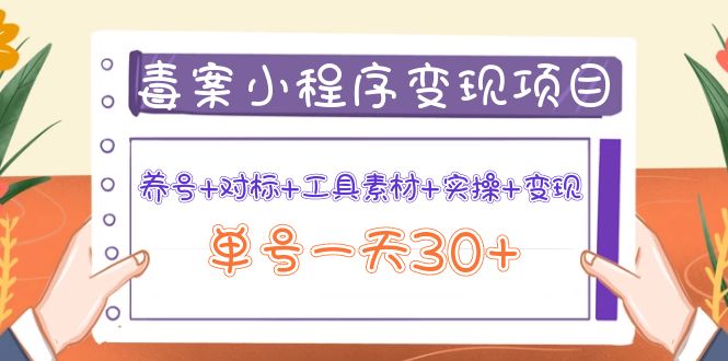【副业项目4214期】图文案小程序变现项目：养号+对标+工具素材+实操+变现，单号一天30+-元满创业网