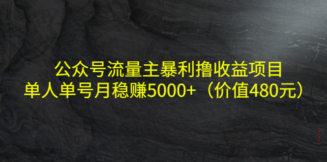 【副业项目4325期】公众号流量主暴利撸收益项目，单人单号月稳赚5000+（价值480元-元满创业网