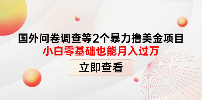 【副业项目4372期】国外问卷调查等2个暴力撸美金项目，小白零基础也能月入过万-元满创业网