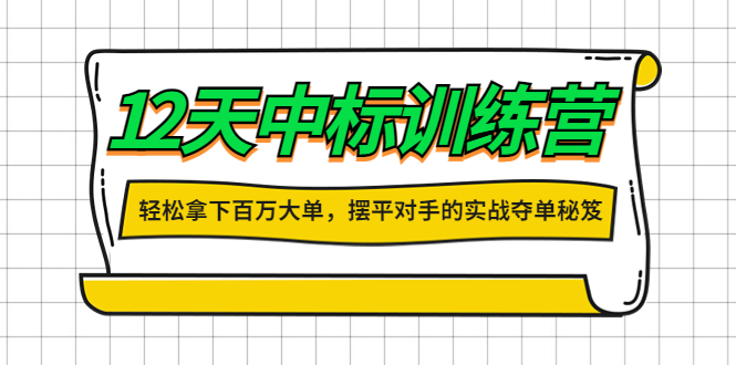 【副业项目4416期】12天中标训练营：轻松拿下百万大单，摆平对手的实战夺单秘笈-元满创业网