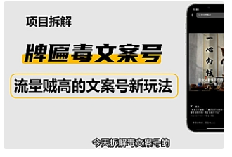 【副业项目4912期】2023抖音快手毒文案新玩法，牌匾文案号，起号快易变现-元满创业网