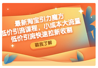 【副业项目4943期】最新淘宝引力魔方低价引流实操：小成本大流量，低价引流快速拉新收割-元满创业网