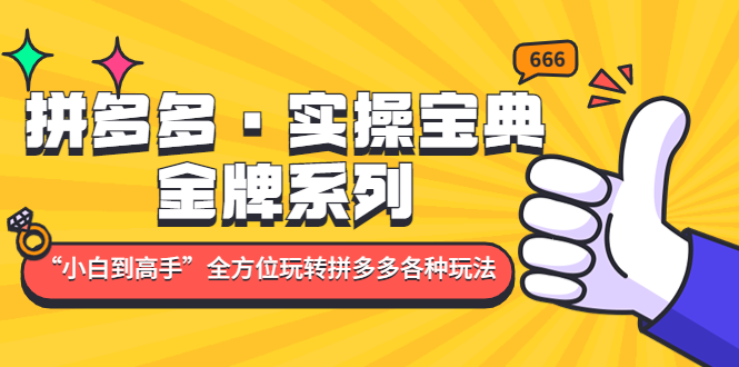 【副业项目5130期】拼多多·实操宝典：金牌系列“小白到高手”带你全方位玩转拼多多各种玩法-元满创业网