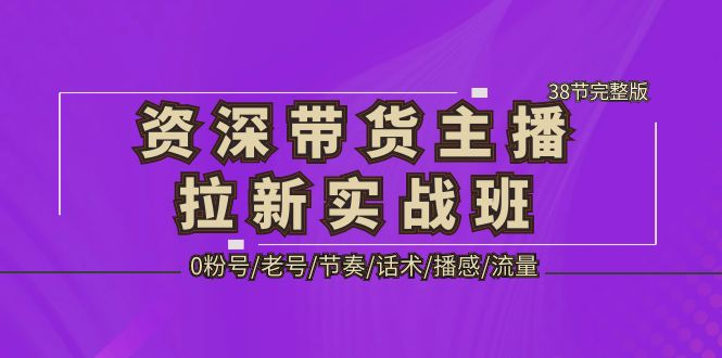 【副业项目5333期】资深·带货主播拉新实战班，0粉号/老号/节奏/话术/播感/流量-38节完整版-元满创业网