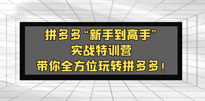 【副业项目5317期】拼多多“新手到高手”实战特训营：带你全方位玩转拼多多-元满创业网
