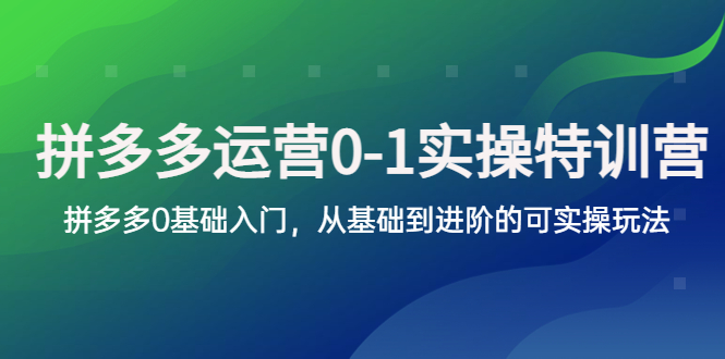 【副业项目5801期】拼多多-运营0-1实操训练营，拼多多0基础入门，从基础到进阶的可实操玩法-元满创业网