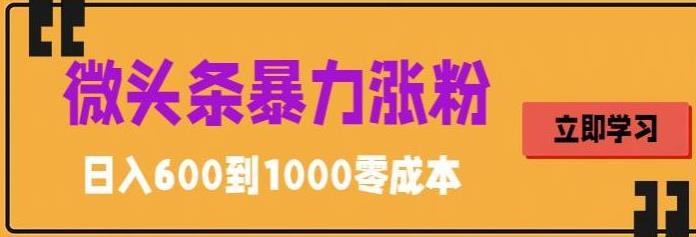 【副业项目5970期】微头条暴力涨粉技巧搬运文案就能涨几万粉丝，简单0成本，日赚600-元满创业网