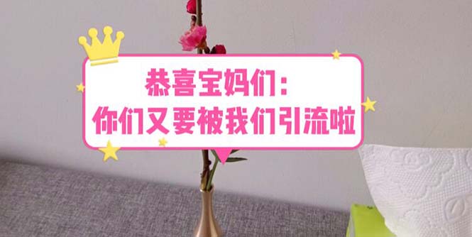 【副业项目5918期】恭喜宝妈们：你们又要被我们引流了（教程+222g资料）-元满创业网