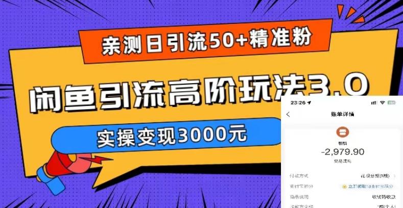 【副业项目5795期】实测日引50+精准粉，闲鱼引流高阶玩法3.0，实操变现3000元-元满创业网