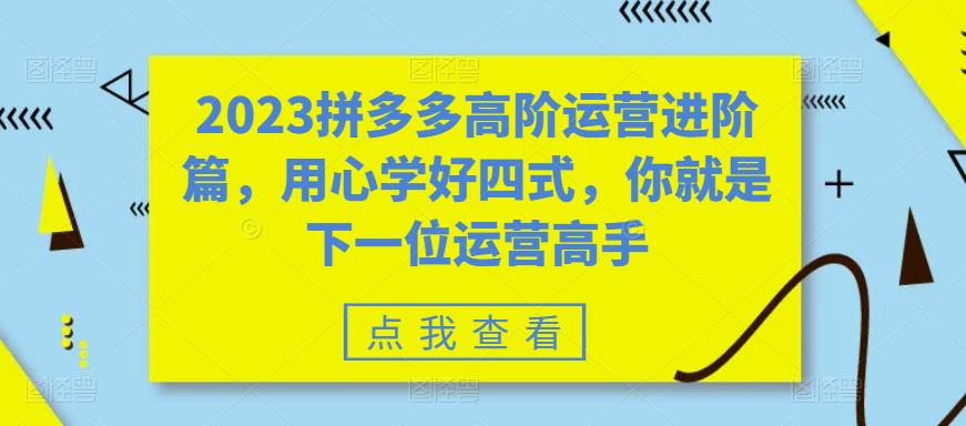 【副业项目6241期】2023拼多多高阶运营进阶篇，用心学好四式，你就是下一位运营高手-元满创业网