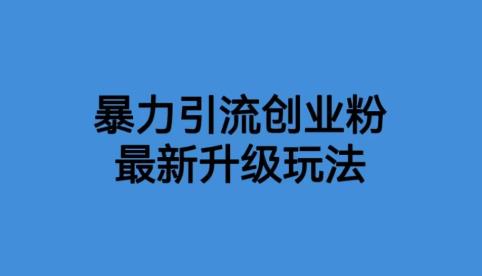【副业项目6372期】价值1980一千个野路子暴力引流最新升级玩法【揭秘】-元满创业网