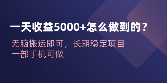 【副业项目6540期】一天收益5000+怎么做到的？无脑搬运即可，长期稳定项目，一部手机可做-元满创业网
