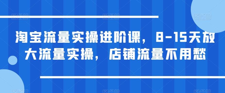 【副业项目6415期】淘宝流量实操进阶课，8-15天放大流量实操，店铺流量不用愁-元满创业网