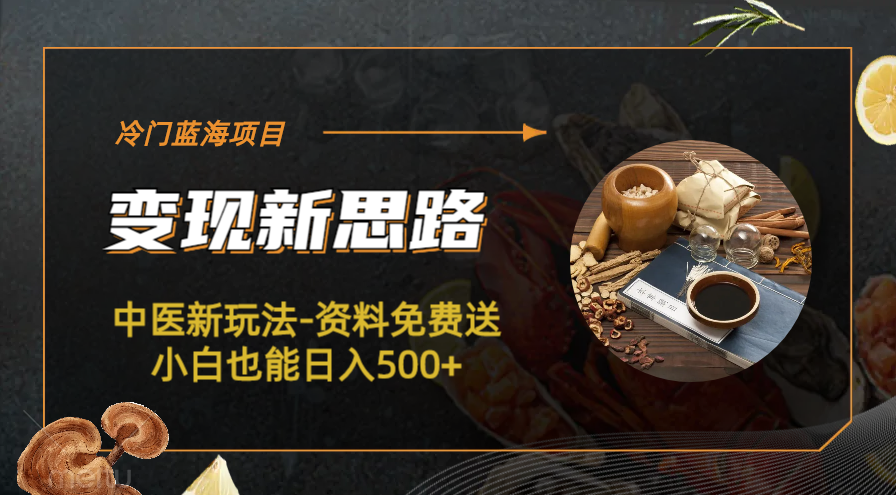 【副业项目6563期】冷门蓝海项目-中医新玩法-资料免费送小白也能日入500+-元满创业网