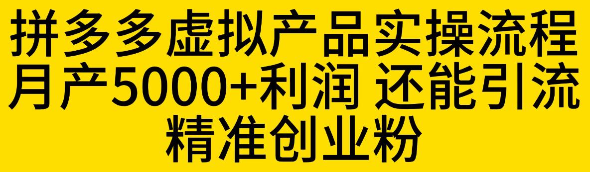 【副业项目6569期】拼多多虚拟产品实操流程，月产5000+利润，还能引流精准创业粉-元满创业网