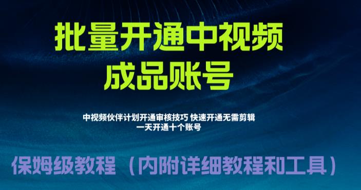 【副业项目6718期】外面收费1980暴力开通中视频计划教程，附 快速通过中视频伙伴计划的办法-元满创业网
