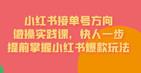 【副业项目6820期】接单号方向·小红书微操实践课，快人一步，提前掌握小红书爆款玩法-元满创业网