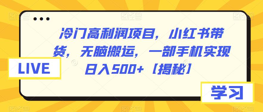 【副业项目6875期】冷门高利润项目，小红书带货，无脑搬运，一部手机实现日入500+【揭秘】-元满创业网