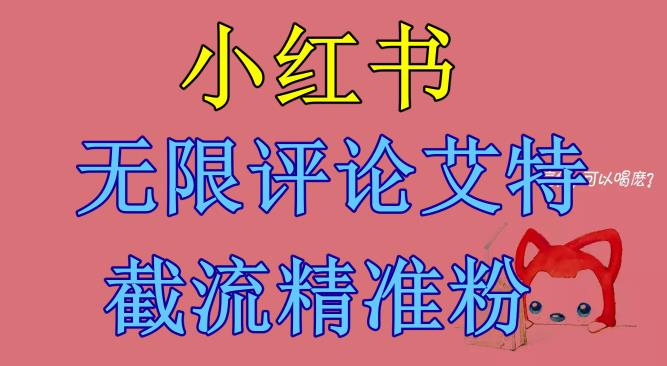 【副业项目6846期】小红书无限评论艾特截流精准粉（软件+教程）-元满创业网