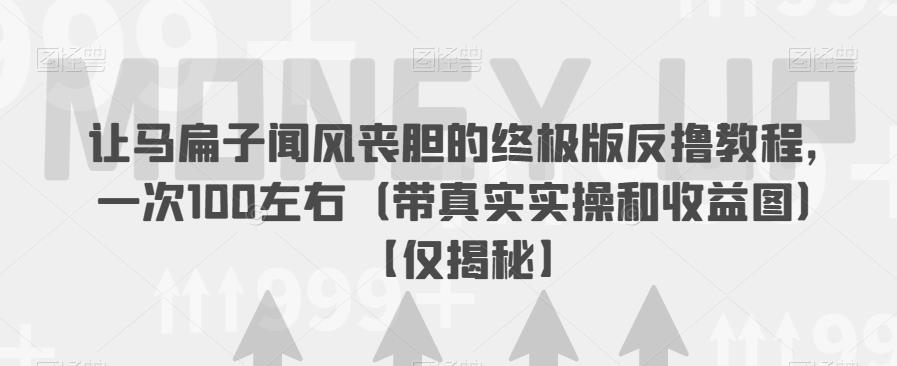 【副业项目6849期】让马扁子闻风丧胆的终极版反撸教程，一次100左右（带真实实操和收益图）【仅揭秘】-元满创业网