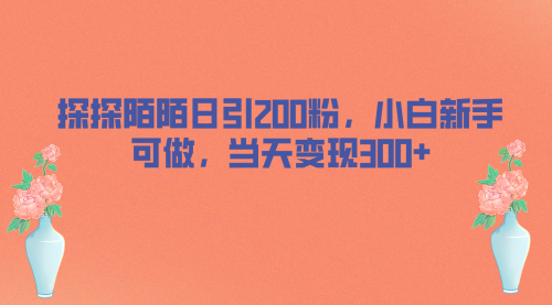 【副业项目7026期】探探陌陌日引200粉，小白新手可做，当天就能变现300+-元满创业网