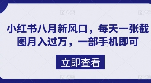 【副业项目7078期】八月新风口，小红书虚拟项目一天收入1000+-元满创业网