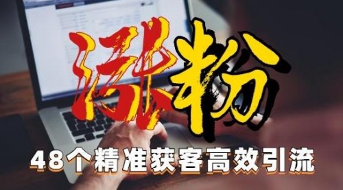 【副业项目7097期】独家分享48个引流绝技，再没粉丝只能怪自己了！-元满创业网