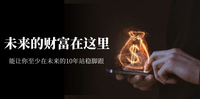【副业项目7298期】某收费文章《未来的财富在这里》能让你至少在未来的10年站稳脚跟-元满创业网