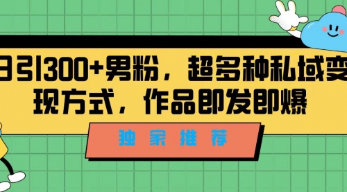 【副业项目7191期】独家推荐！日引300+男粉，超多种私域变现方式-元满创业网
