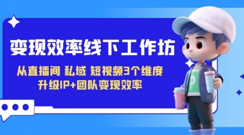 【副业项目7241期】变现-效率线下工作坊，从直播间、私域、短视频3个维度 升级IP+团队变现效率-元满创业网