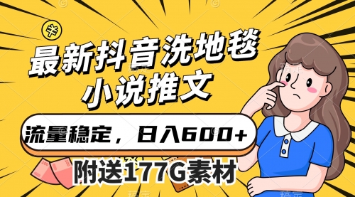 【副业项目7638期】最新抖音洗地毯小说推文，流量稳定，一天收入600（附177G素材）-元满创业网