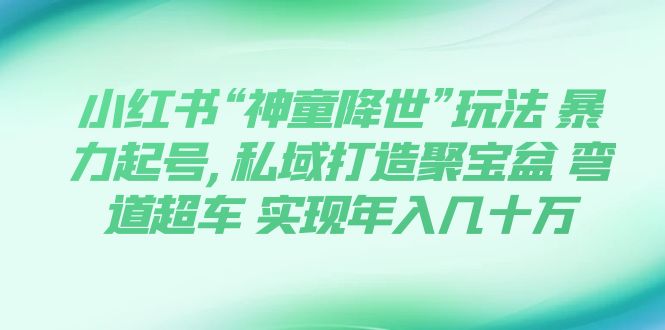 【副业项目7983期】小红书“神童降世”玩法 暴力起号,私域打造聚宝盆-元满创业网