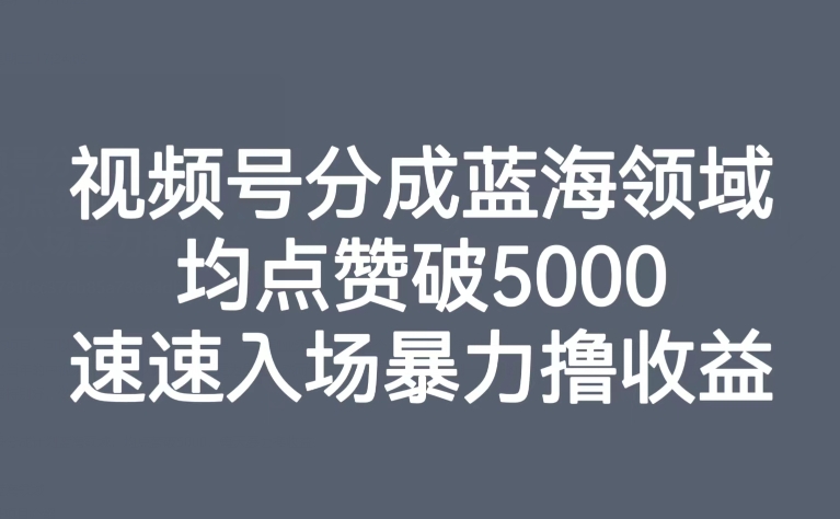 【副业项目8023期】视频号分成蓝海领域，均点赞破5000，速速入场暴力撸收益-元满创业网