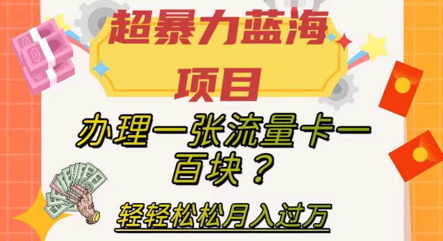 【副业项目8024期】超暴力蓝海项目，办理一张流量卡一百块？轻轻松松月入过万，保姆级教程【揭秘】-元满创业网