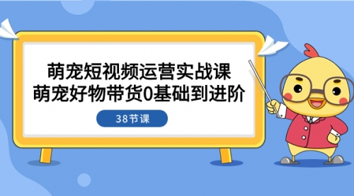 【副业项目8175期】萌宠·短视频运营实战课：萌宠好物带货0基础到进阶（38节课）-元满创业网