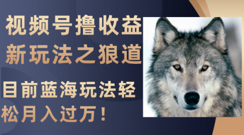 【副业项目8271期】视频号撸收益新玩法之狼道，目前蓝海玩法轻松月入过万！-元满创业网