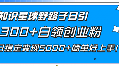 【副业项目8492期】知识星球野路子日引300+白领创业粉-元满创业网