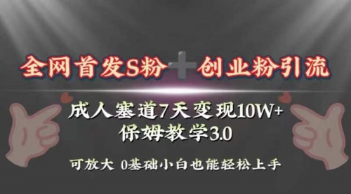 【副业项目8506期】成人用品赛道7天变现10w+保姆教学3.0-元满创业网