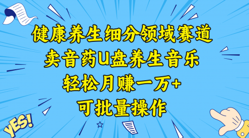 【副业项目8638期】健康养生细分领域赛道，卖音药U盘养生音乐，轻松月赚一万+，可批量操作-元满创业网