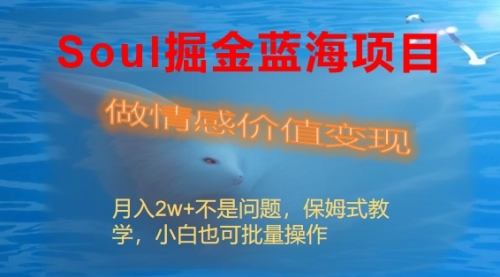 【副业8669期】Soul掘金蓝海项目细分赛道，做情感价值变现，月入2w+不是问题-元满创业网