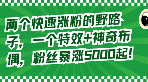 【副业8723期】两个快速涨粉的野路子，一个特效+神奇布偶，粉丝暴涨5000起！-元满创业网