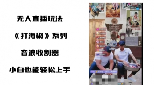 【副业8766期】打海椒无人直播整蛊项目，小白轻松上手撸音浪收割器（教程+工具+素材）-元满创业网