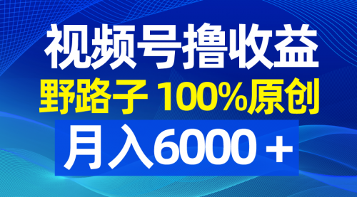 【副业8771期】视频号野路子撸收益，100%原创，条条爆款，月入6000＋-元满创业网