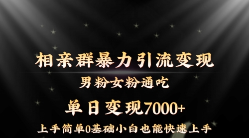 【副业8845期】相亲群暴力引流男粉女粉通吃变现玩法，单日变现7000+保姆教学1.0-元满创业网